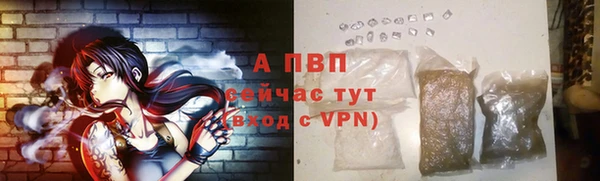 сатива Горнозаводск
