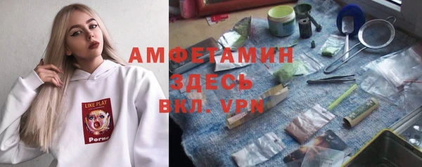 сатива Горнозаводск