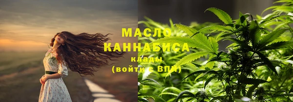 сатива Горнозаводск