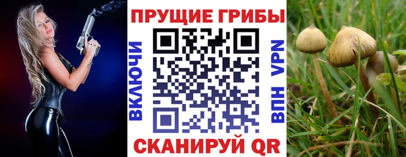 МЕГА ссылка  что такое   Новохопёрск  Псилоцибиновые грибы MAGIC MUSHROOMS 